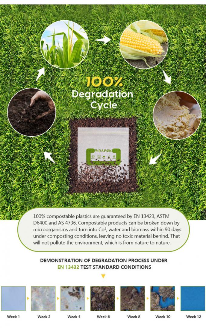 Saco lastic duplo degradable estando do zíper do produto comestível do auto relativo à promoção