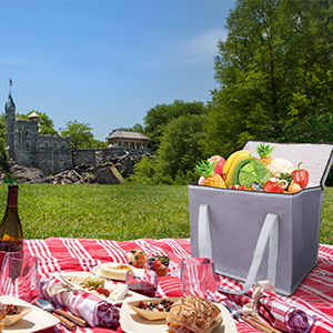 O pano de Oxford isolou sacos de compras na mercearia reusáveis, tamanho do XL, grande saco do refrigerador do piquenique, frio superior Zippered 11