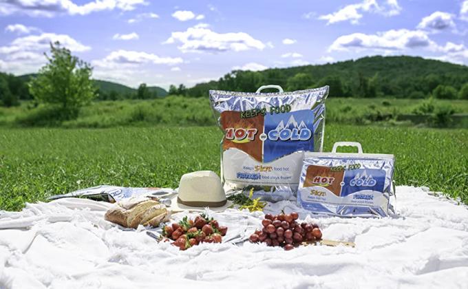 o alimento manteve o frio no saco quente e frio no piquenique