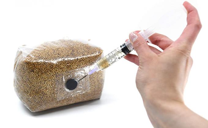 Os sacos crescentes do cogumelo autocl&aacute;vico, sacos da ova do cogumelo, levantam-se sacos dur&aacute;veis, fontes do jardim, respir&aacute;veis 2