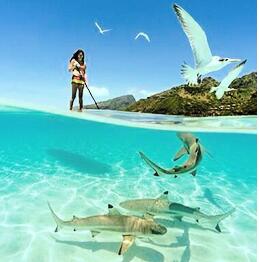 As mulheres franzem, organizador With Reinforced Handle do saco do armazenamento, correias do punho do malote para homens das mulheres 2