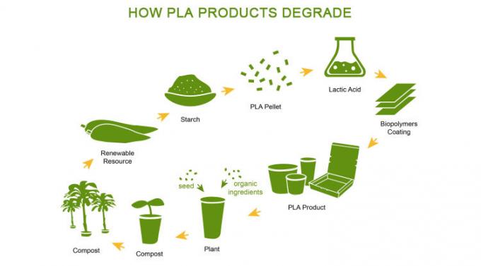 Copo plástico Compostable biodegradável do espaço livre do PLA de 100%
