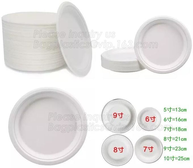 100% biodegradável e polpa compostable da cana-de-açúcar que empacota a placa de papel descartável, vagabundos ovais da placa de papel do baggase da cana-de-açúcar