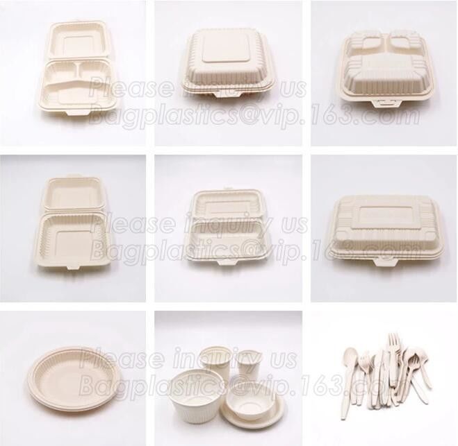100% biodegradável e polpa compostable da cana-de-açúcar que empacota a placa de papel descartável, vagabundos ovais da placa de papel do baggase da cana-de-açúcar