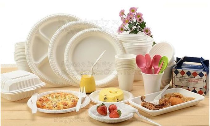 100% biodegradável e polpa compostable da cana-de-açúcar que empacota a placa de papel descartável, vagabundos ovais da placa de papel do baggase da cana-de-açúcar