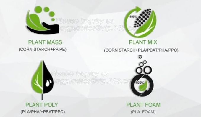 100% biodegradável e polpa compostable da cana-de-açúcar que empacota a placa de papel descartável, vagabundos ovais da placa de papel do baggase da cana-de-açúcar