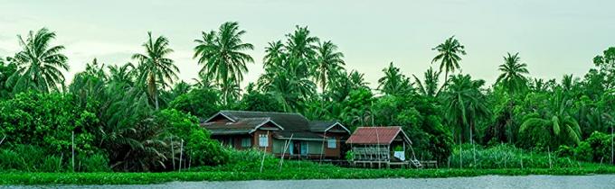 As palhas bebendo do PLA, palhas gigantes de CPLA, envolvidas individualmente, planta basearam palhas Compostable de Flexi, cocktail 9
