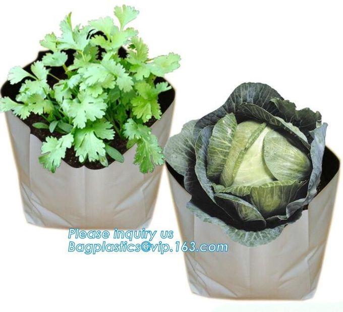 os sacos da plantação de jardim da horticultura crescem ensacam er sacos da planta, aplicações da irrigação de gotejamento da estufa e são excelentes para 3