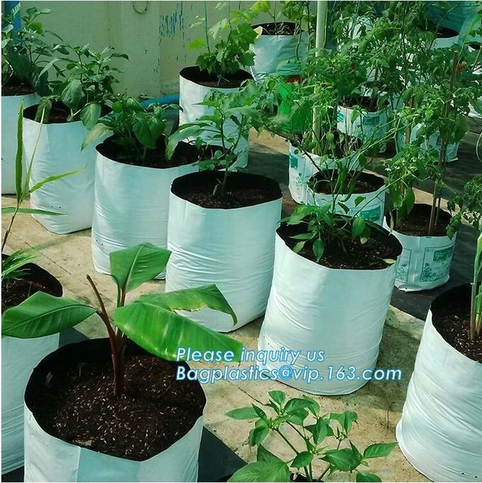 os sacos da plantação de jardim da horticultura crescem ensacam er sacos da planta, aplicações da irrigação de gotejamento da estufa e são excelentes para 4