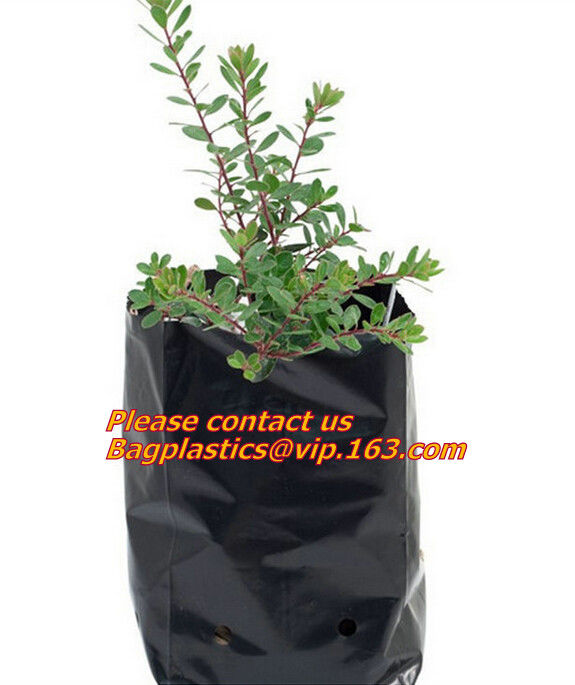 os sacos da plantação de jardim da horticultura crescem ensacam er sacos da planta, aplicações da irrigação de gotejamento da estufa e são excelentes para 0