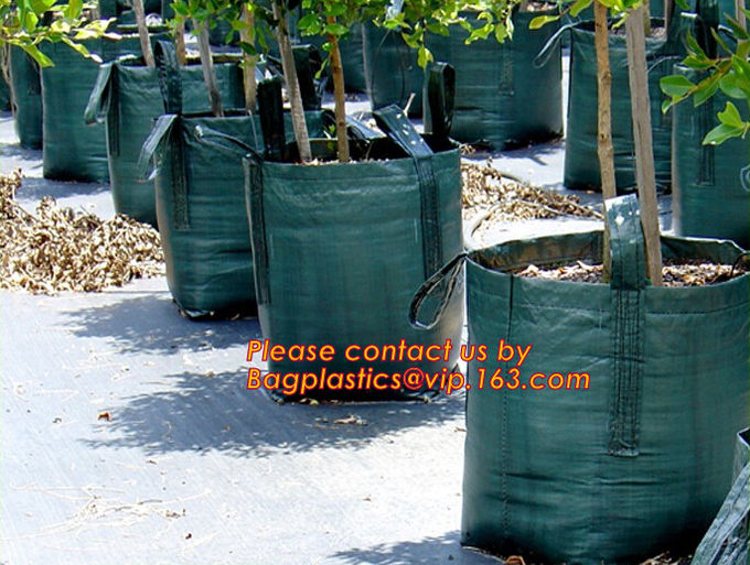 O jardim grande despede a batata cresce o saco, recipiente vegetal do pátio do tomate do saco do plantador do jardim