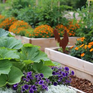 Esteira do controle de ervas daninhas, vegetação rasteira, cama de flor, palha de canteiro, Pavers, afiação, estacas do jardim, barreira da erva daninha, paisagem 14