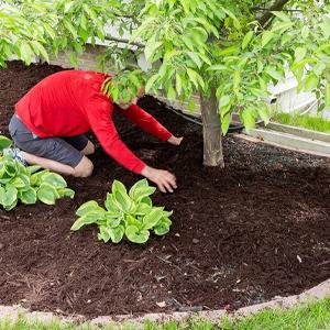 Esteira do controle de ervas daninhas, vegetação rasteira, cama de flor, palha de canteiro, Pavers, afiação, estacas do jardim, barreira da erva daninha, paisagem 18