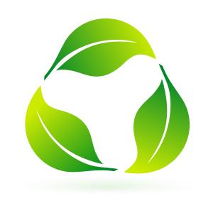 Fontes da festa natalícia de Drinkware do Natal da folha de ouro, copo de papel descartável do Xmas, fontes do feriado do Xmas 1